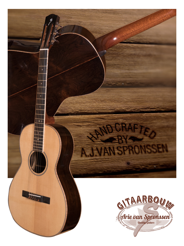 Logisch Realistisch Betreffende OO model gitaar van Rio …